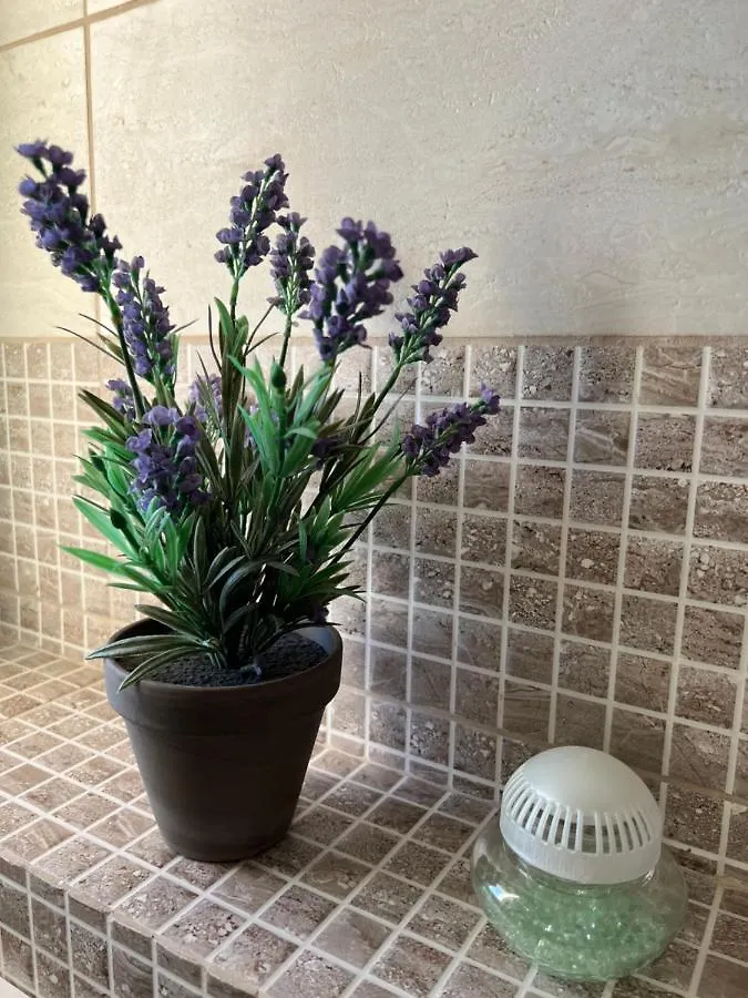 Apartmani Pernjak Mandre